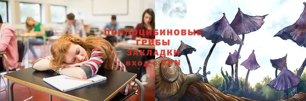 стаф Заводоуковск