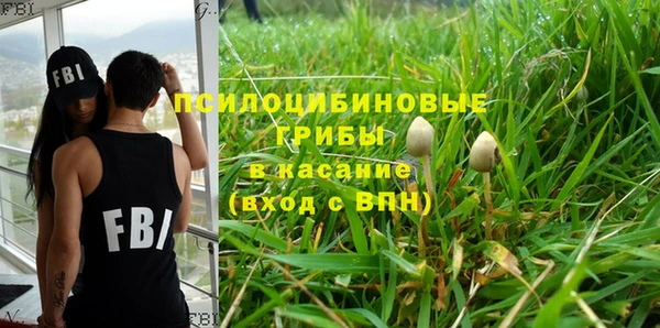 стаф Заводоуковск