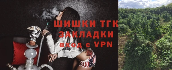 стаф Заводоуковск