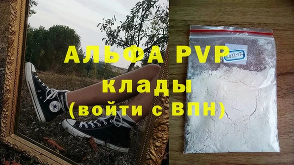 стаф Заводоуковск