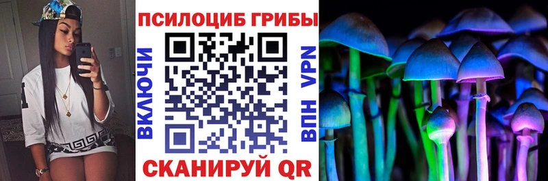 Купить  Пыталово  Галлюциногенные грибы мухоморы 